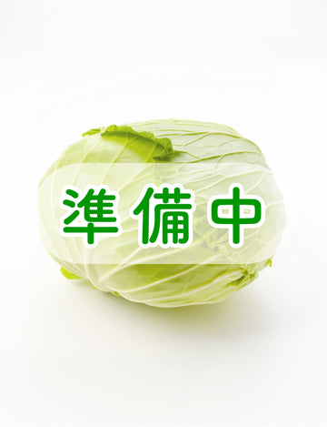 キャベツ - 刺繍屋さんが作ったアパレルショップ　nuudery