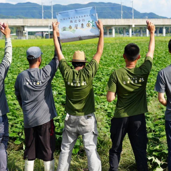 【お歳暮などのギフト用にいかがですか？】　べにはるか　秀品5キロ - 刺繍屋さんが作ったアパレルショップ　nuudery