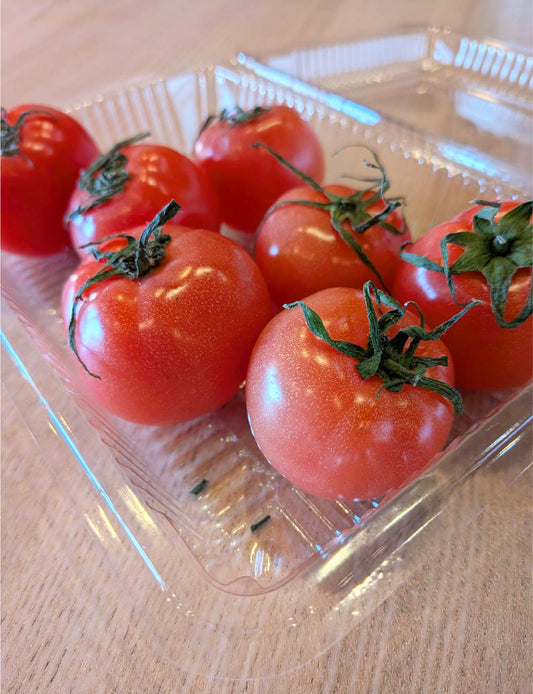 トマト - 刺繍屋さんが作ったアパレルショップ　nuudery