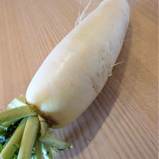 大根（ミディアムサイズ） - 刺繍屋さんが作ったアパレルショップ　nuudery