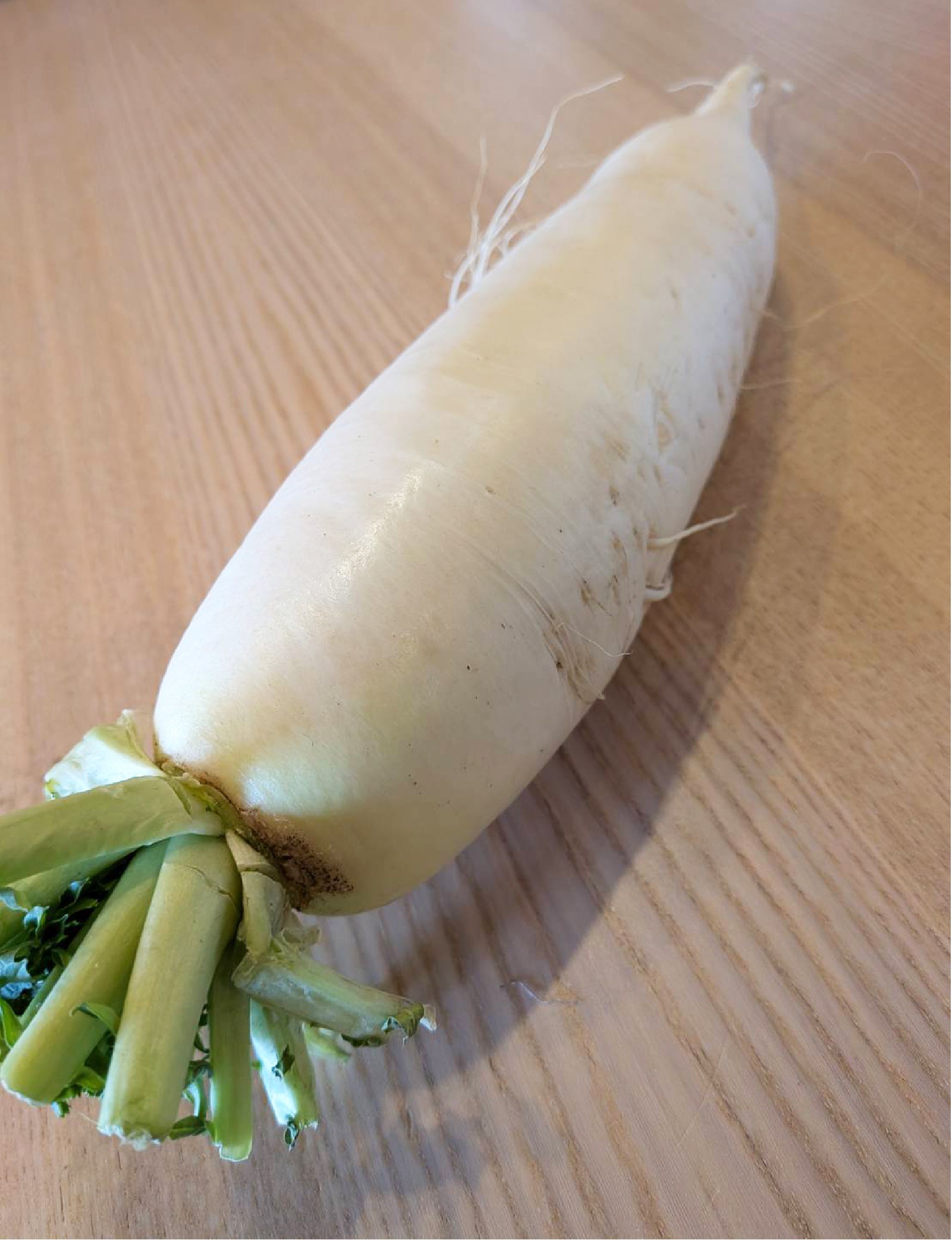 大根（ミディアムサイズ） - 刺繍屋さんが作ったアパレルショップ　nuudery