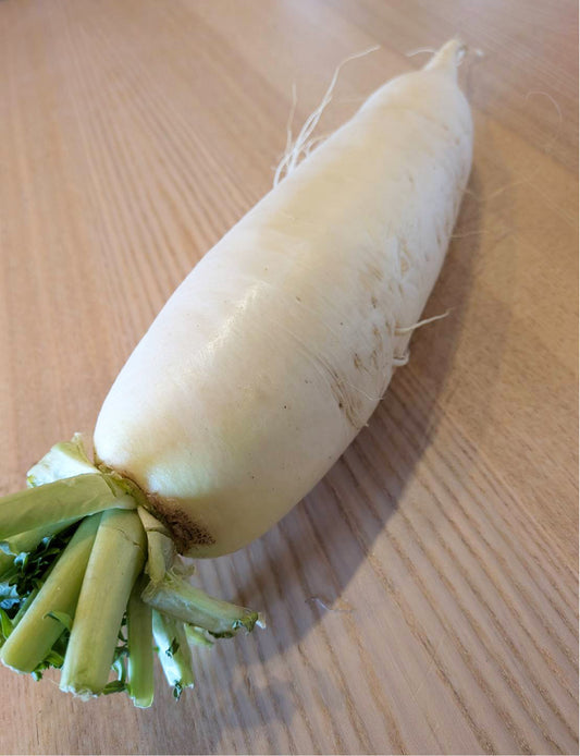 大根（ミディアムサイズ） - 刺繍屋さんが作ったアパレルショップ　nuudery