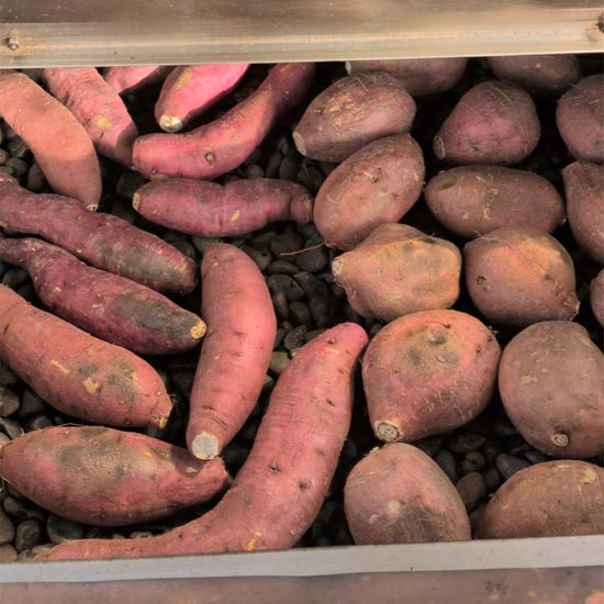 【飲食店・事業者様向けお得BOX】福岡県産 シルクスイート 20kg・50kg・100kg - 刺繍屋さんが作ったアパレルショップ　nuudery