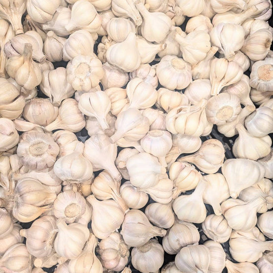 【訳あり・お買い得】福岡県産 白にんにく B・C品 1kg（ご家庭用）｜見た目は不揃いでも味は一級品！コスパ抜群の国産にんにく - 刺繍屋さんが作ったアパレルショップ　nuudery