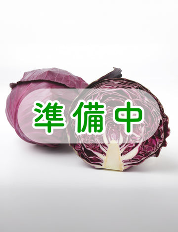 レッドキャベツ - 刺繍屋さんが作ったアパレルショップ　nuudery