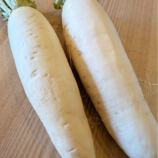 大根（ミディアムサイズ） - 刺繍屋さんが作ったアパレルショップ　nuudery