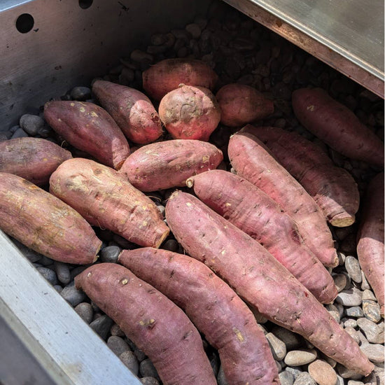 【飲食店・事業者様向けお得BOX】福岡県産 べにはるか 20kg・50kg・100kg - 刺繍屋さんが作ったアパレルショップ　nuudery