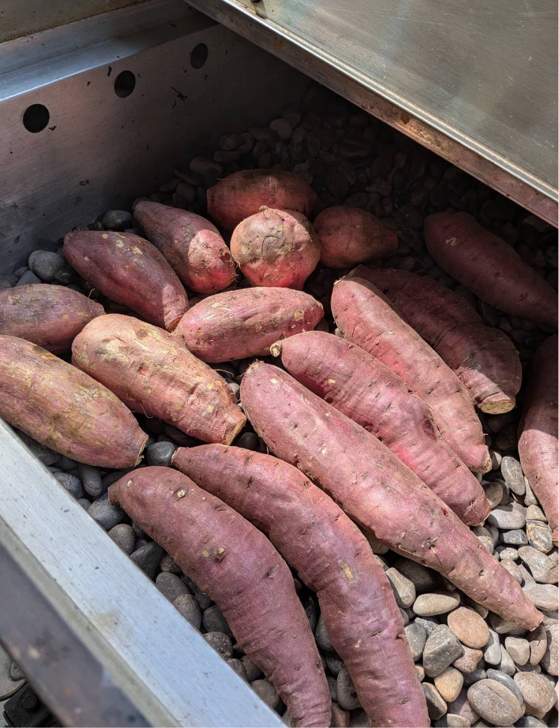 【飲食店・事業者様向けお得BOX】福岡県産 べにはるか 20kg・50kg・100kg - 刺繍屋さんが作ったアパレルショップ　nuudery