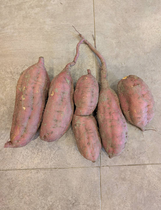 安納芋 20キロ - 刺繍屋さんが作ったアパレルショップ　nuudery