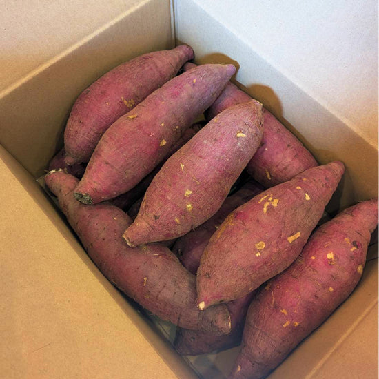 【お歳暮などのギフト用にいかがですか？】　べにはるか　秀品5キロ - 刺繍屋さんが作ったアパレルショップ　nuudery