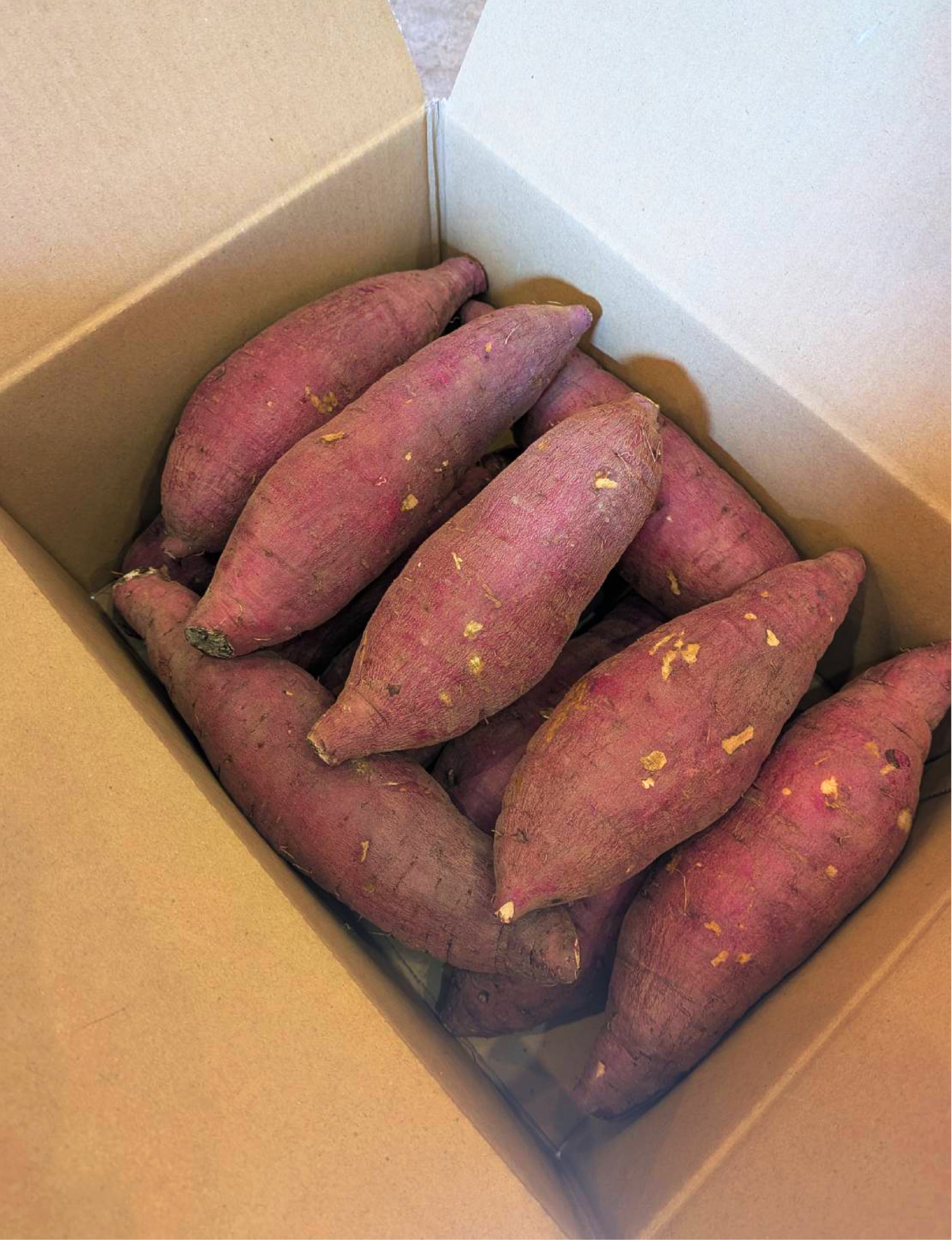 【お歳暮などのギフト用にいかがですか？】　べにはるか　秀品5キロ - 刺繍屋さんが作ったアパレルショップ　nuudery