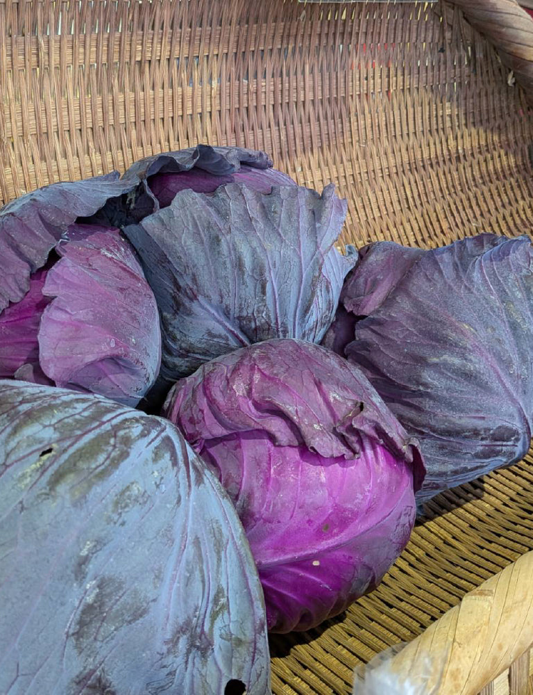 紫キャベツ - 刺繍屋さんが作ったアパレルショップ　nuudery