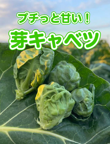 芽キャベツ - 刺繍屋さんが作ったアパレルショップ　nuudery