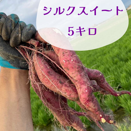 シルクスイート - 刺繍屋さんが作ったアパレルショップ　nuudery