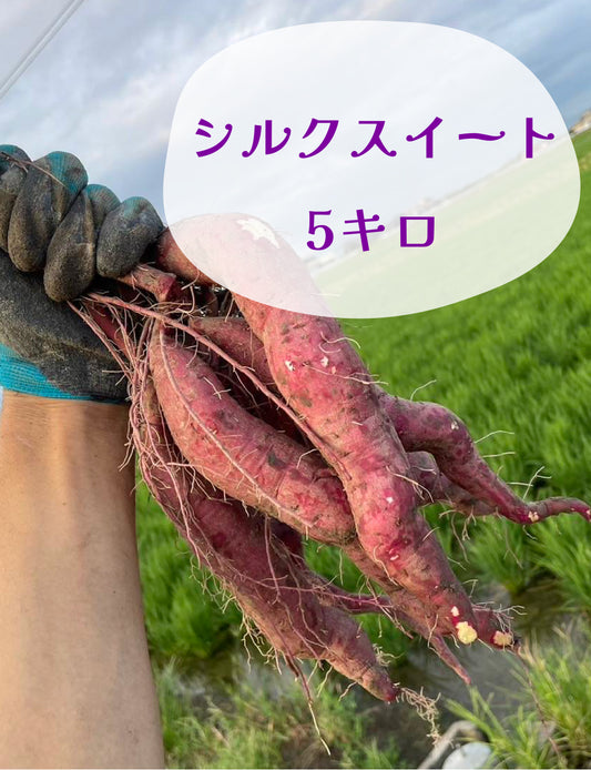 シルクスイート - 刺繍屋さんが作ったアパレルショップ　nuudery