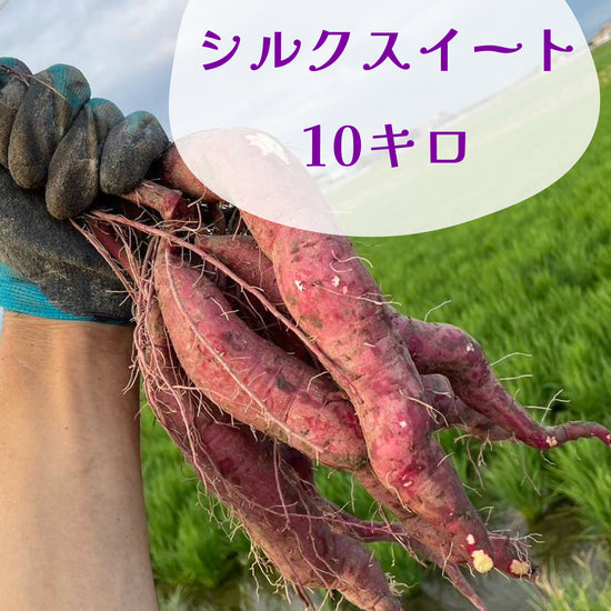シルクスイート - 刺繍屋さんが作ったアパレルショップ　nuudery