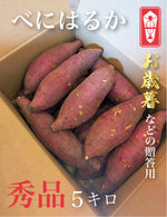 【お歳暮などのギフト用にいかがですか？】　べにはるか　秀品5キロ - 刺繍屋さんが作ったアパレルショップ　nuudery