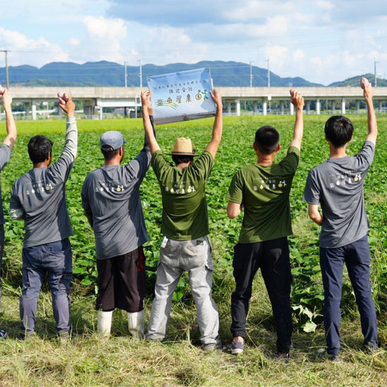 【飲食店・事業者様向けお得BOX】福岡県産 べにはるか 20kg・50kg・100kg - 刺繍屋さんが作ったアパレルショップ　nuudery