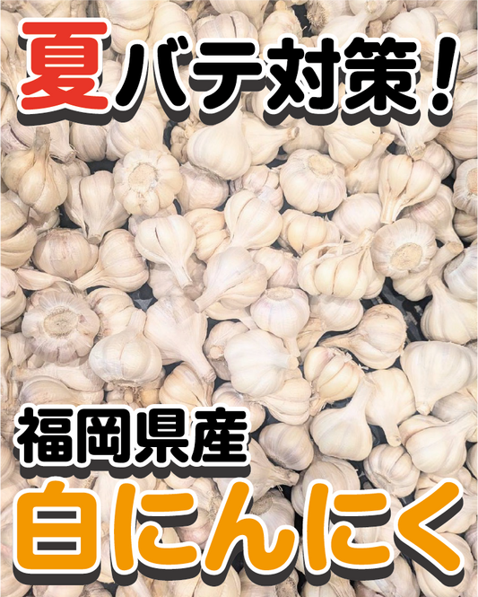 【国産・最高品質A品】福岡県産 白にんにく 1kg（厳選） - 刺繍屋さんが作ったアパレルショップ　nuudery