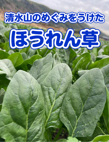 ほうれん草 - 刺繍屋さんが作ったアパレルショップ　nuudery