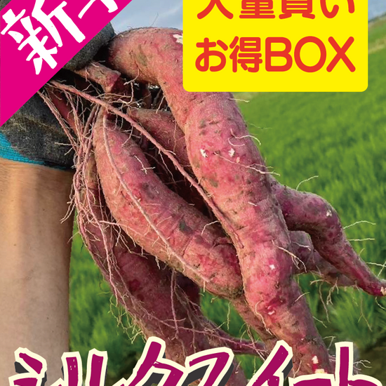 新芋販売スタート！【飲食店・事業者様向けお得BOX】福岡県産 シルクスイート 20kg・50kg・100kg - 刺繍屋さんが作ったアパレルショップ　nuudery