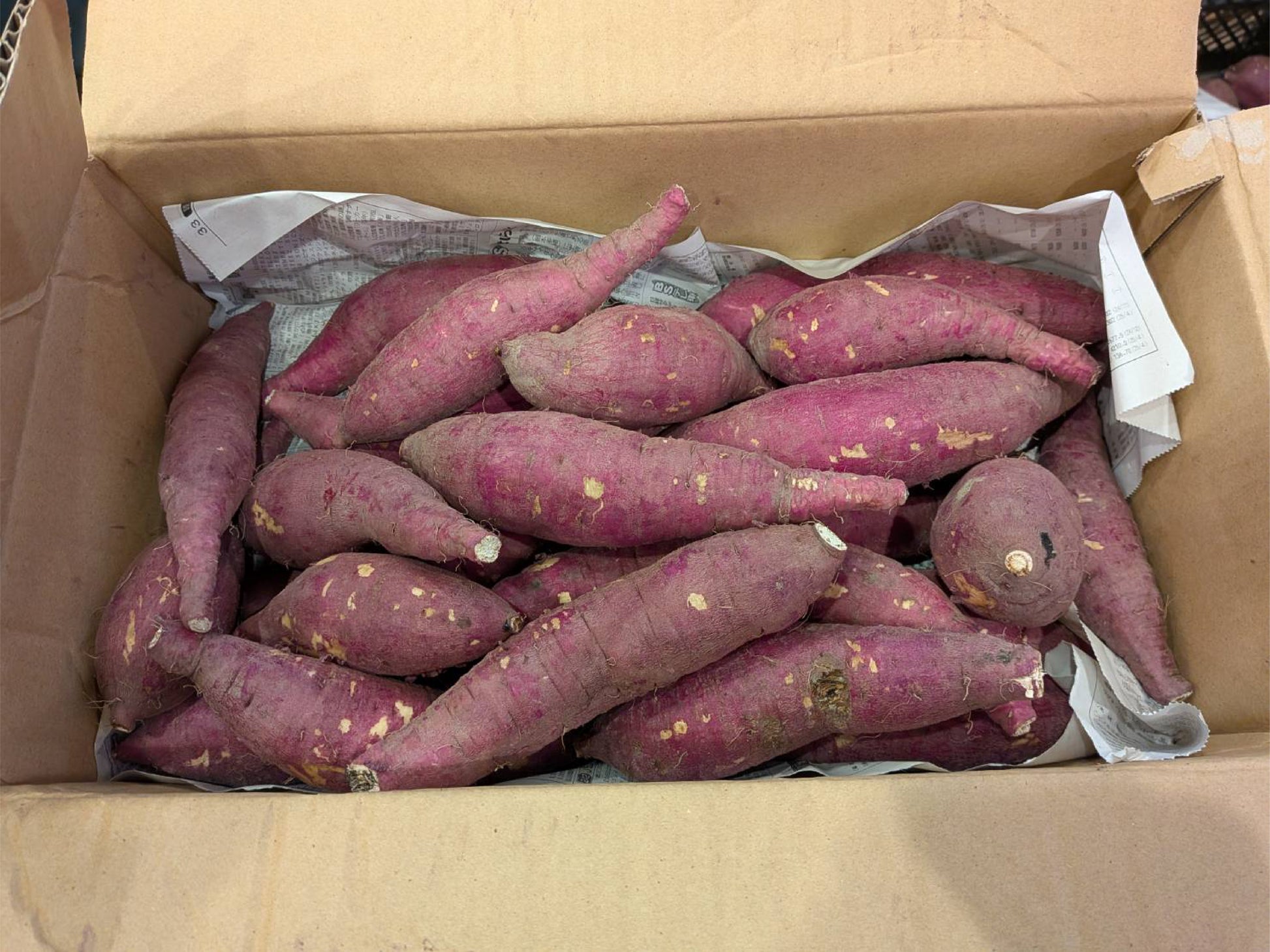 【飲食店・事業者様向けお得BOX】福岡県産 べにはるか 20kg・50kg・100kg - 刺繍屋さんが作ったアパレルショップ　nuudery