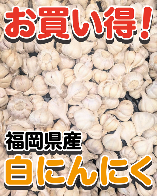 【訳あり・お買い得】福岡県産 白にんにく B・C品 1kg（ご家庭用）｜見た目は不揃いでも味は一級品！コスパ抜群の国産にんにく - 刺繍屋さんが作ったアパレルショップ　nuudery