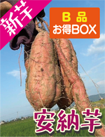 【ご家庭向けお得BOX！】福岡県産 安納芋B品（S、SSサイズ）（3kg / 5kg）溢れる蜜と濃厚なコク - 刺繍屋さんが作ったアパレルショップ　nuudery