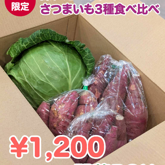 【12月限定！】¥1,200野菜BOX　採れたてキャベツとさつまいも3種食べ比べBOX - 刺繍屋さんが作ったアパレルショップ　nuudery