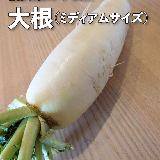 大根（ミディアムサイズ） - 刺繍屋さんが作ったアパレルショップ　nuudery