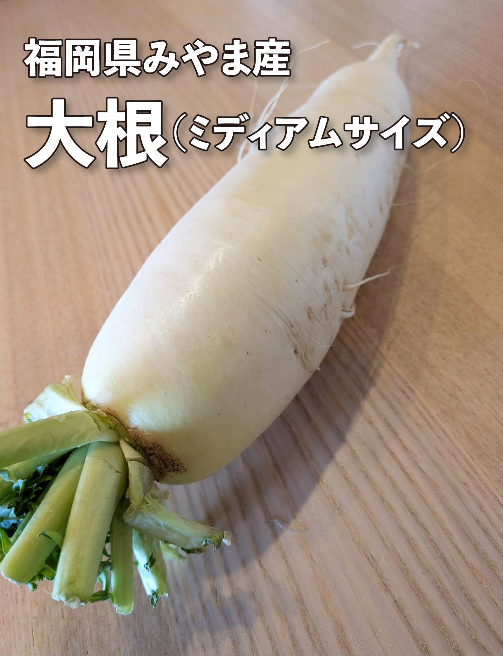 大根（ミディアムサイズ） - 刺繍屋さんが作ったアパレルショップ　nuudery