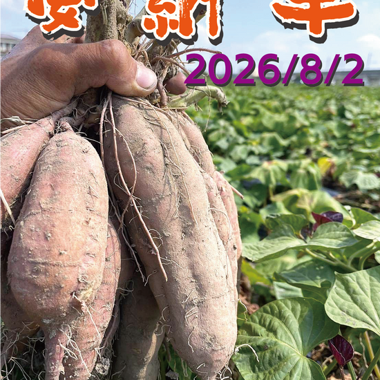 【掘りたて新芋！】福岡県産 安納芋（1kg / 5kg/10kg）｜新芋ならではのみずみずしさ・おかずや焼き芋にぴったり - 刺繍屋さんが作ったアパレルショップ　nuudery
