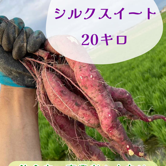 シルクスイート 20キロ - 刺繍屋さんが作ったアパレルショップ　nuudery