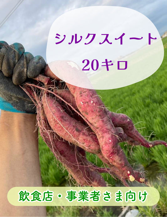 シルクスイート 20キロ - 刺繍屋さんが作ったアパレルショップ　nuudery
