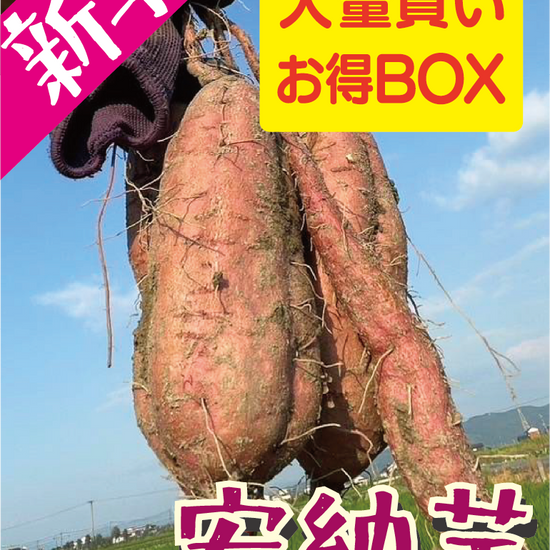 新芋販売スタート！【飲食店・事業者様向けお得BOX】福岡県産 安納芋 20kg・50kg・100kg - 刺繍屋さんが作ったアパレルショップ　nuudery